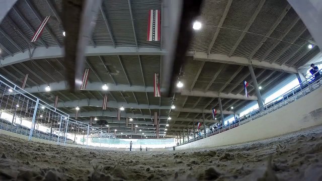 Rob Dyrdek Fantasy Factory Final Final Season Ostrich Race!