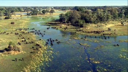 Juice Music - Edge Of The World