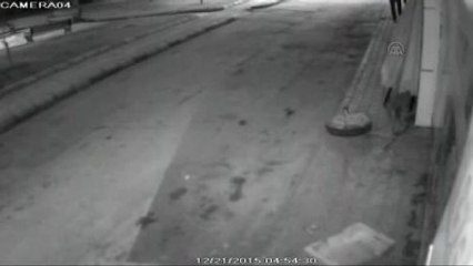 Turhal'da Markette ve Manavda Hırsızlık