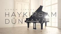 Ekrem Tiryaki - Haykırsam Dünyaya