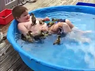 Lucky Kid Swims With A Dozen Ducklings Funny Video