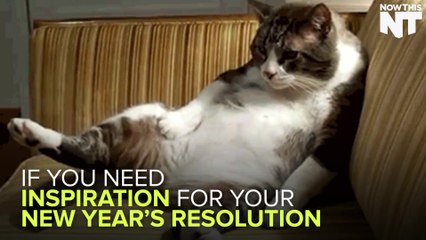 These Unlikely Athletes Will Inspire You To Work Out This New Year's