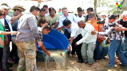 Bolivia releases thousands of baby turtles into the Amazon river
