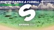 Martin Garrix - Animals (DJ Yudiell Edit)