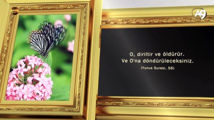 Allah'ın isimleri: Muhyi (Can bağışlayan, sağlık veren, dirilten, yaşatan)