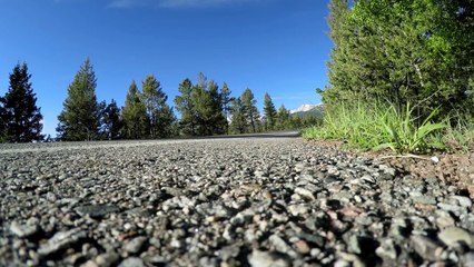 GoPro: Breaking Records in a 800hp Porsche Turbo Cup in 4K