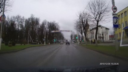 Пес с повадками как у автомобилистов