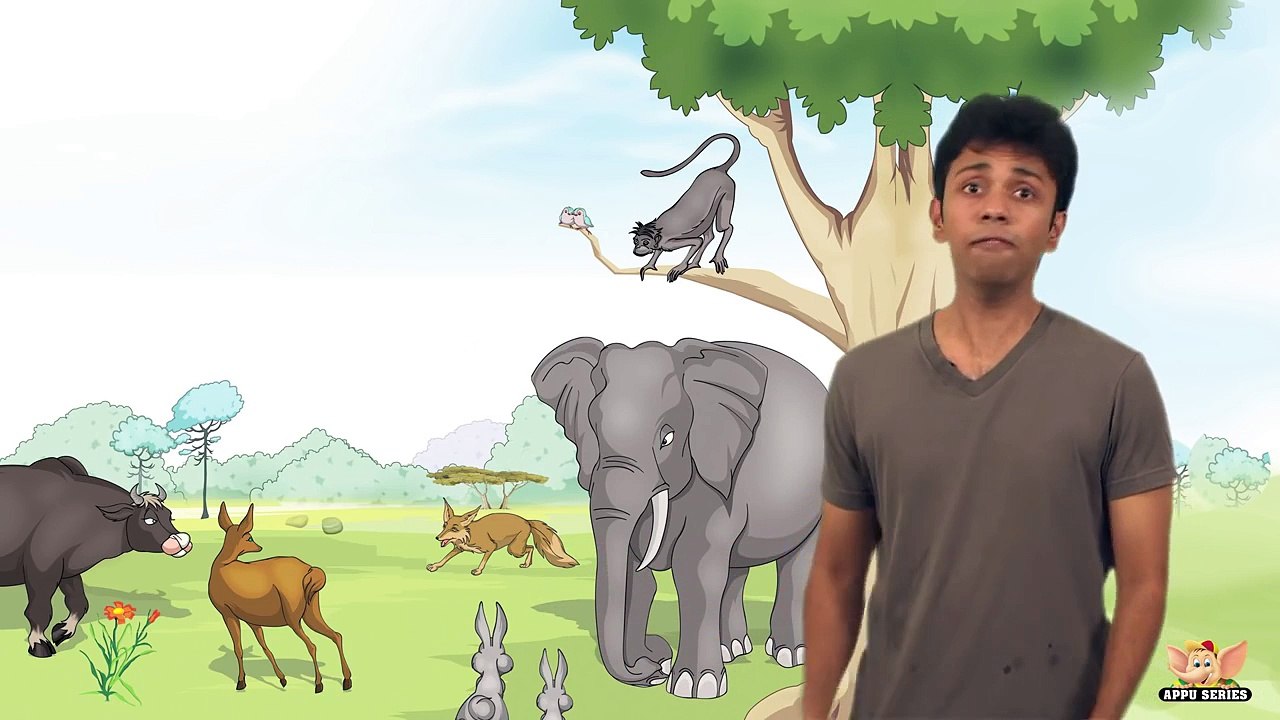 Lets read an Appu Series book! The Wise Rabbit