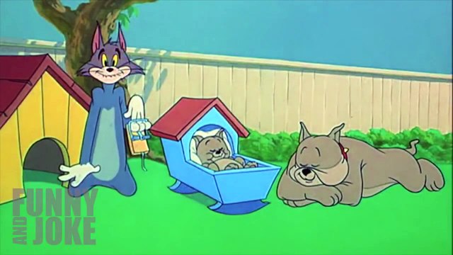 The best of 2016 Лучшее в COUB 2015 Смешные Приколы, фан видео 180