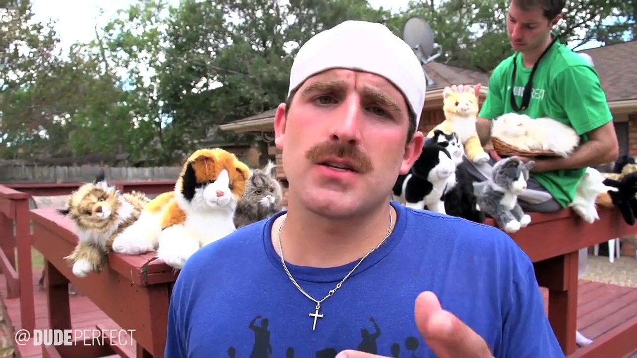 Trick Shots and Cats