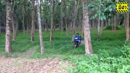 The best of 2016 Funny clip รวมคลิปตลกสุดฮา [จุดจบสายแว๊นซ์] EP. 2