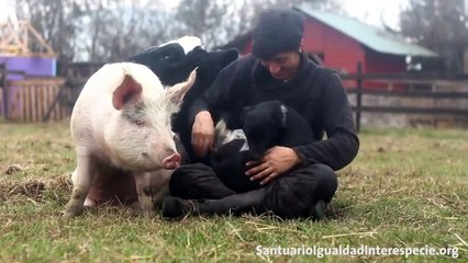 All animals want to be loved