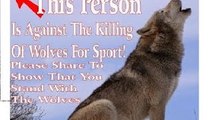 DONT KILL MEXICAN WOLVES FOR SPORT
