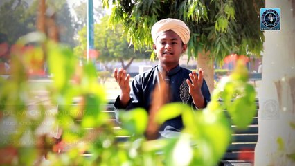 Dil Ka Chain Mustafa Yasir Qadri 2016