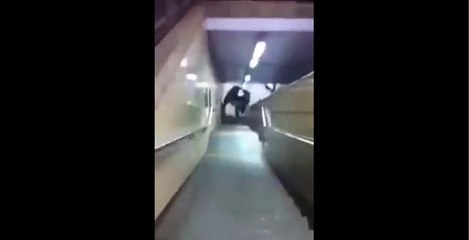 Incredible crazy new year 2016 Car in metro Bruxelles