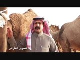 منقية عبدالله بن سائر الهذيلي البقمي تصوير العفر�