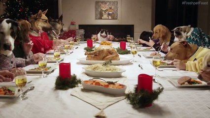 Dogs Eating Food like Humans