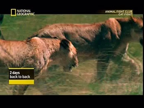 National Geographic Channel best Clip 2016
