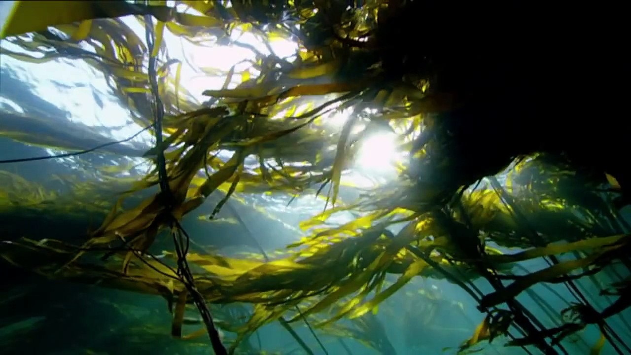 Nature Speaks " A Warning 2 Human Beings ! "