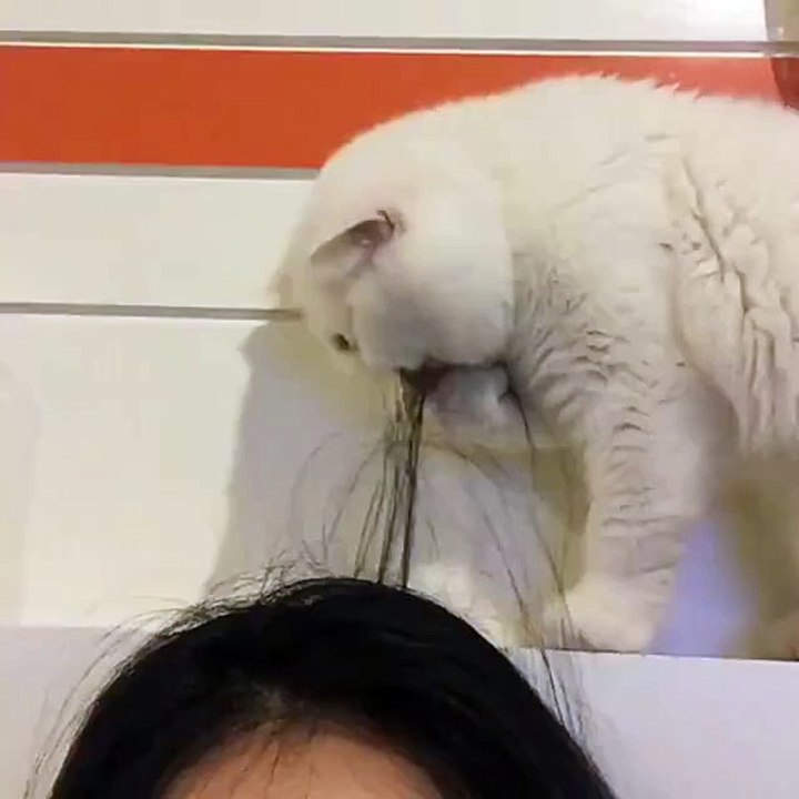 PLS let me do your hair!
