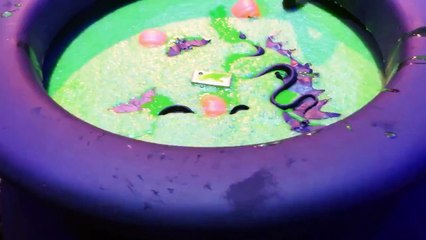 Get Ready for the Party! |