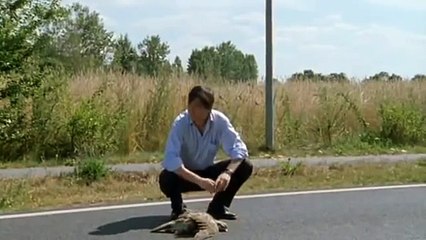 Der letzte Zeuge S05E01 Der Tag an dem ein Vogel vom Himmel fiel
