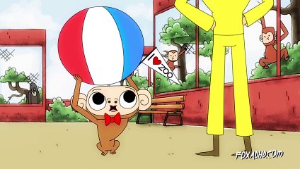 CURIOUS GEORGE OF THE APES