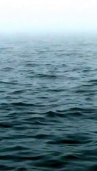 Once in a lifetime...