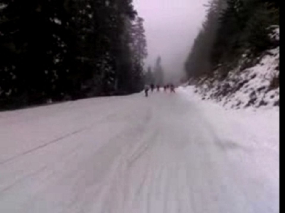 ski