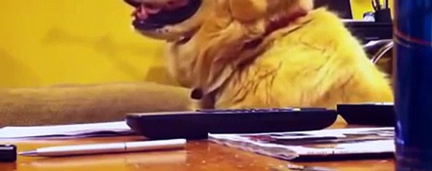 RHs Good News S06E06