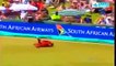 Best Catches in Cricket History! Best Acrobatic Catches!|Jhonty Rohdes Catches |Ab De Villiars Shots|Catches