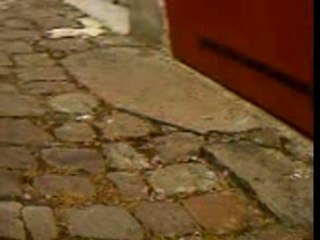 1gmp jean perrin 06/07 slk AMG