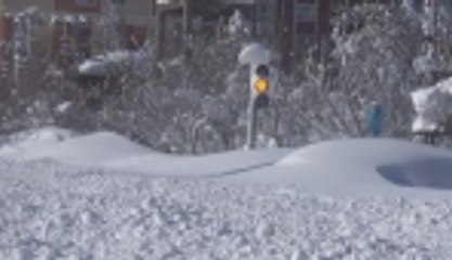 Evler ve arabalar kar altında