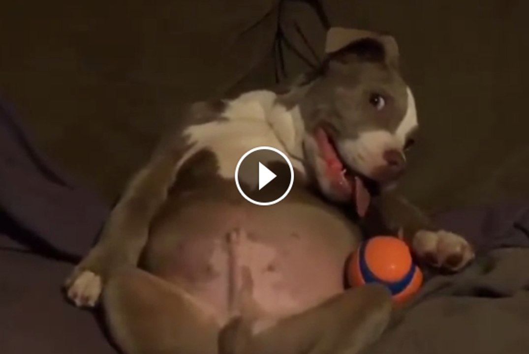 Sunday Morning Vibes