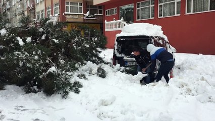 Pazar'da devrilen ağaç yolu kapattı, belediye ağaçları tıraşladı