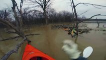 Buzz : Un kayakiste sauve un écureuil tombé à l’eau ( Saving a squirrel from flooding ) !