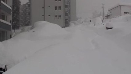 Kar Yağışı Hayatı Olumsuz Etkiliyor