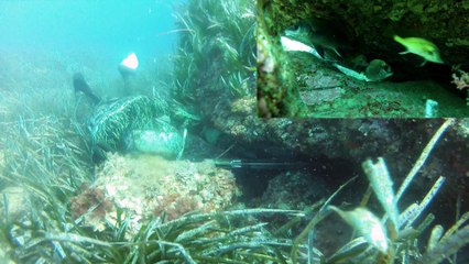 chasse d'hiver en méditerranée (Cressi Team)