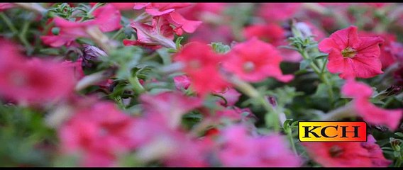 Aks E Rohe Mustaffa Sy asi Zebai Milli ||| Abid Rouf Qadri ||||