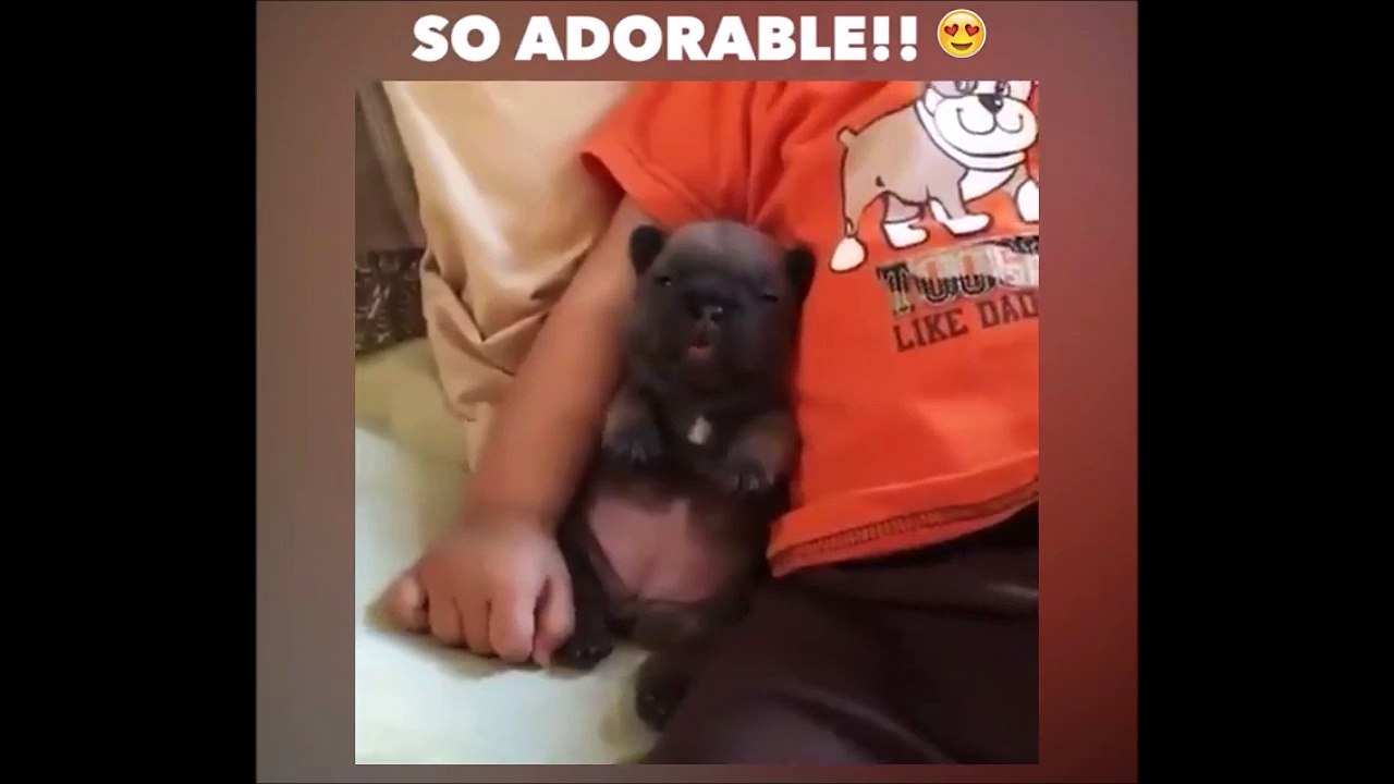 Petite sieste entre potes! Adorable