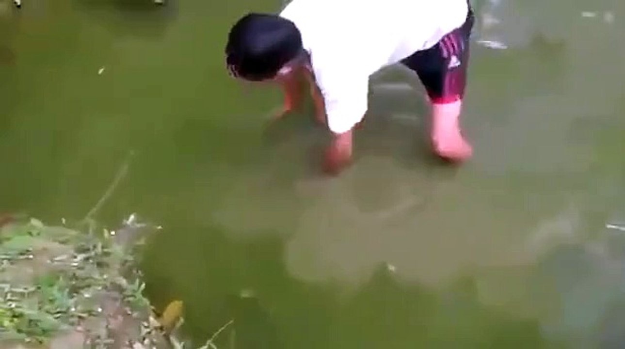 How not to catch an Electric Eel