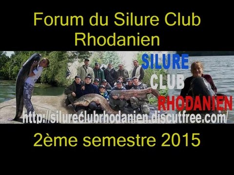 Silure Club Rhodanien : Poissons du forum du Silure Club Rhodanien
