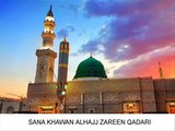 SAIRE GULSHAN KOUN DEKHAY DUSHTE TAIBA CHOR KER- SOYE JANET KOUN JAYE DAR TUMHARA CHOR KER- BY ALHAJJ ZAREEN QADRI SAHIB