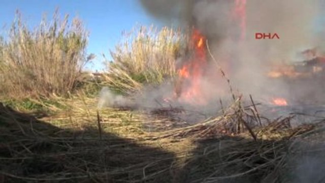 Antalya Sazlık Alanda Çıkan Yangın Korkuttu