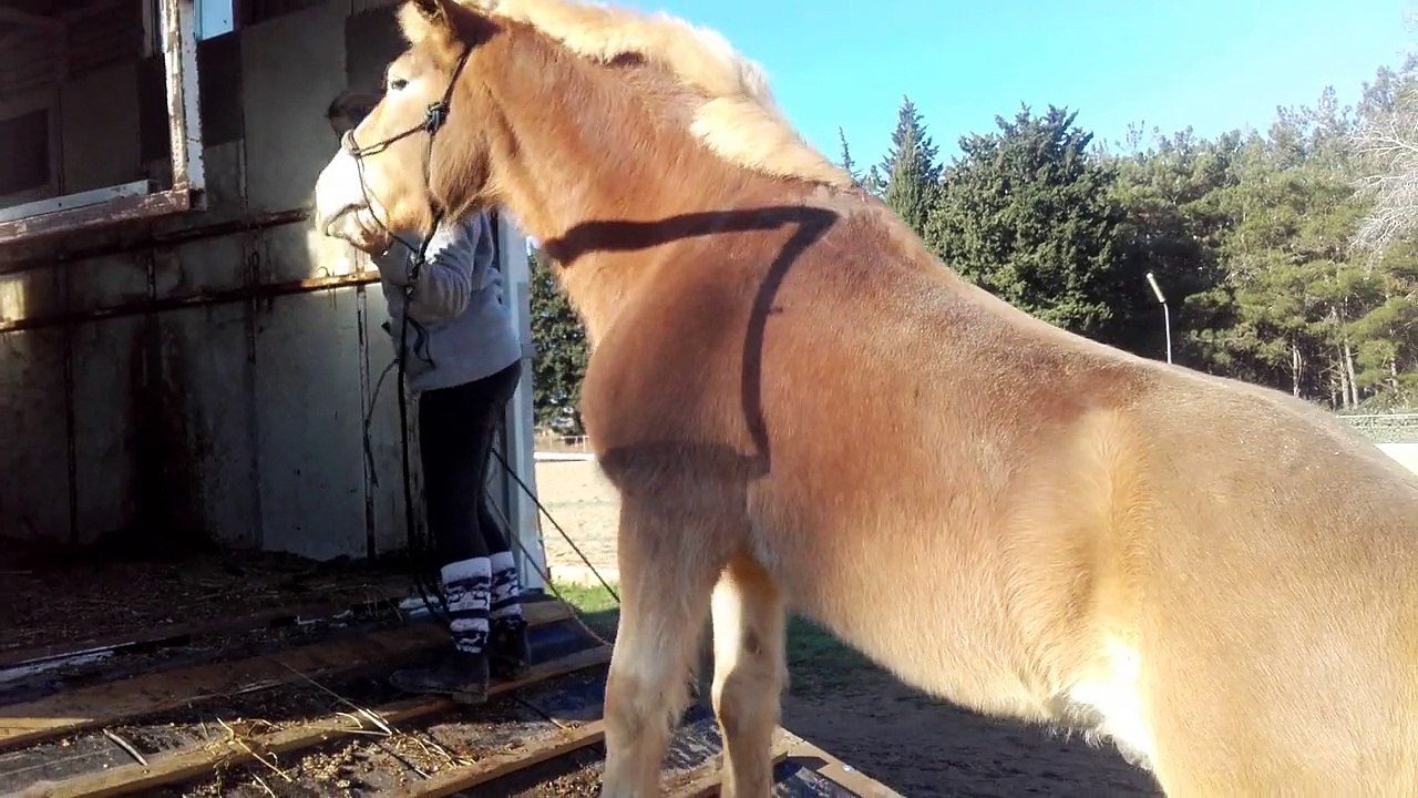 Challenge 6 - Laurène & Trist An - porc epic extrême