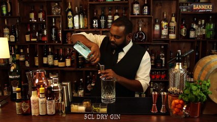 Dirty Martini - Gin Cocktail selber mixen - Schüttelschule by Banneke