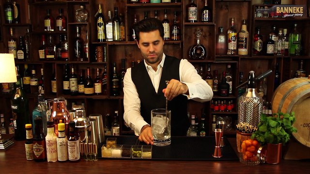 Gibson - Gin Cocktail selber mixen - Schüttelschule by Banneke