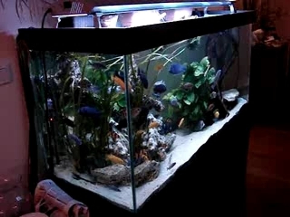 550L