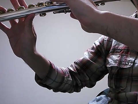 SAKURA (by Ikimonogakari) flute cover / SAKURA (いきものがかり) フルートカバー