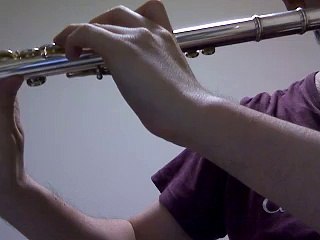 Ato Hitostu (by Funky Monky Babys)flute cover / あとひとつ (ファンモン) フルートカバー